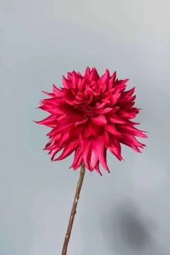 Pip Künstliche Blumen Winter Embrace